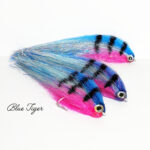 Blue Tiger