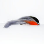 Roach 27-29cm