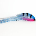 Blue Tiger 27-29cm