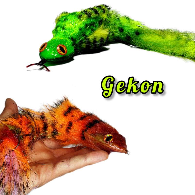 Gekon