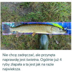InShot_20231014_162530273