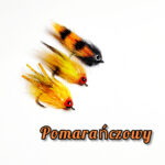 pomarańczowy