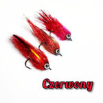 czerwony