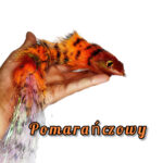 Pomarańczowy