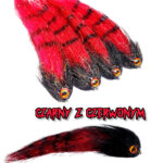 czerwony z czarnym