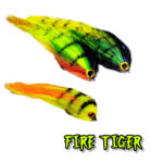 fitr tiger